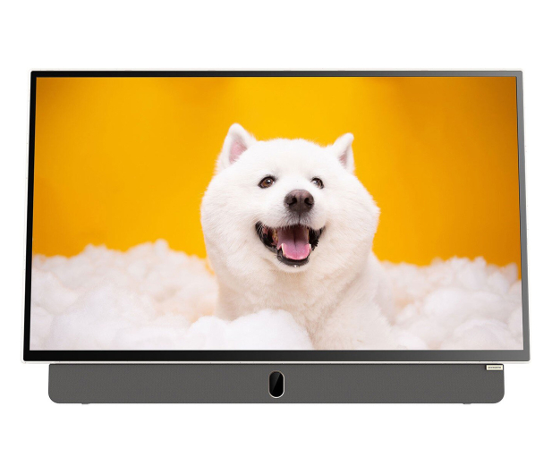 Metz 24MPE7000Z  24" LED Full HD Google TV  Portable TV,  Matte S - 1532417 - zdjęcie